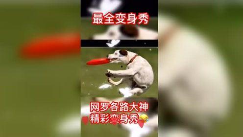 嘻嘻哈哈娱乐吃瓜,揭秘吃瓜群众的狂欢盛宴